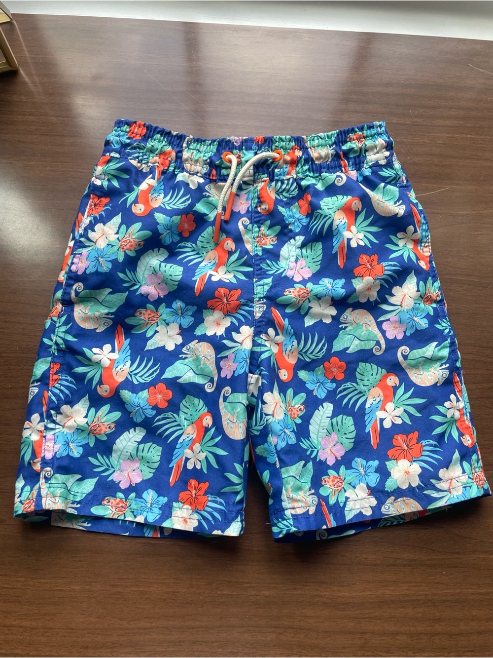 Tropical Parrot Floral Swim Shorts